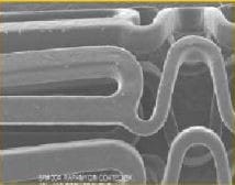 圖片關(guān)鍵詞